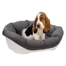 Einmalige angebote, rabatte und bestpreis aktionen! Hundebetten Hundesofas Zu Top Preisen Bitiba De
