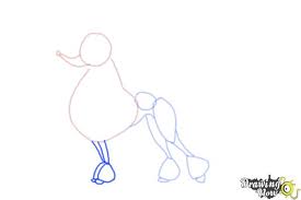 How To Draw A Poodle Step By Step Drawingnow