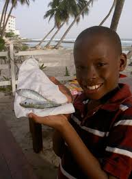 Hälsningar från Barbados: 2010