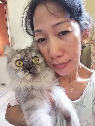 Help moving pets from Qatar to Texas