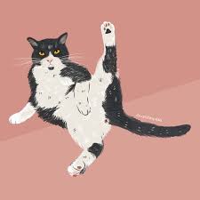 Funny Cat Art Tuxedo Cat Print Cat Poster Cat Illustration Etsy Cat Posters Cat Art Cats Illustration