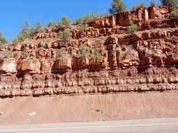 We did not find results for: Sedimentary Rocks Of The Naco Group East Central Arizona Azgs