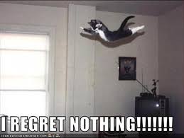 I Dont Regret Nothing Quotes Quotesgram