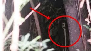 Salshabilla adriani, stevie zamora, gabriella quinlyn, devin. Menyeramkan Ternyata Ini Wajah Asli Hantu Kuntilanak