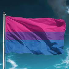 Bisexual Pride Flag - Grand Rapids Pride Center