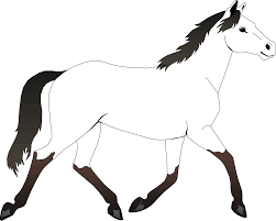 Drawing realistic wild horse horse coloring pages. Race Horse Coloring Page Coloring Home