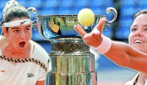 Former wimbledon champion jana novotna has died at the age of 49, the women's tennis association has announced. Die 10 Besten Fed Cup Spielerinnen Aller Zeiten Tennisnet Com