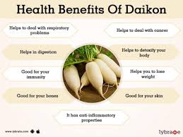 This onion oil is rich in sulphur, potassium, and antioxidants that work together in regrowth and unblocking hair follicles. Benefits Of Daikon And Its Side Effects Lybrate