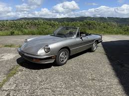 Image result for Avorio 1984 Alfa-Romeo