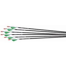 Easton Archery Carbon Raider Platinum Arrows 6 Pack