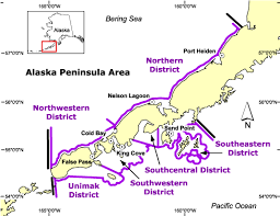 A shallow earthquake of magnitude 8.2 struck the alaska peninsula late on wednesday, prompting tsunami warnings in the region, authorities said. Alaska Peninsula Fisheries Could Harvest More Than 20 Million Salmon If Averages Stay True Kdlg