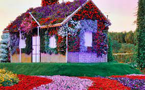 Miracle Garden Tickets 2021 Covid 19 Updated