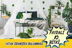 Yemek odası takımımız 1 adet konsol ve aynası 1 adet açılabilir masa 6 adet sandalyeden oluşmaktadır. Yatak Odanizda Bulunmasi Faydali 10 Canli Bitki Cicek Sepeti Blog