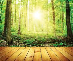 Maybe you would like to learn more about one of these? Revitalising The Curriculum With The Great Outdoors Education Business