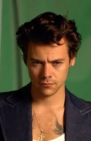 Discover 900+ Harry Styles♥ and harry styles ideas in 2025
