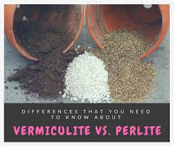 6.2 mix your own soilless potting mix for hydroponics. Vermiculite Vs Perlite Difference When And How To Use
