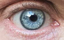 Gray eyes may be called blue at first glance, but they tend to have flecks of gold and brown. Eye Color Wikipedia