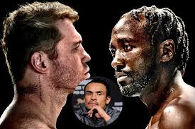 Anthony Joshua Net Worth 2024: How much he gets from fights and sponsors?