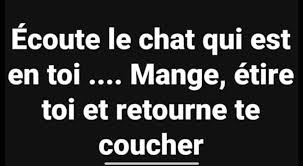 Epingle Par Si Flen Sur Mdr Petites Citations Droles Phrase Humoristique Citation Humour