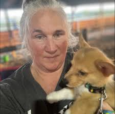 Any corgi puppies ? I want a fur baby!❤️