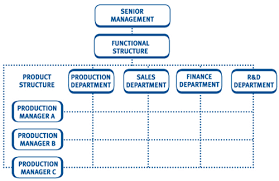 Organisational Structure