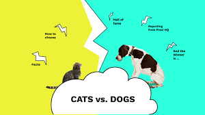 Neither option is considered a safe pest control method to use around children or pets. Cats Vs Dogs Prezi By Gabriella Bacsi