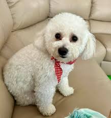 Wishing happy fourth of July to family