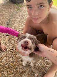 What bird did this feather come off of?