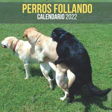 Perros Follando Calendario 2022: Regalos Gracioso Para Amantes de los Perros  y Animales | Divertidos Para Amigos, Mujer, Hombre, ... Niños, Adultos, ...  de regalo divertida ... Regalo de Broma ) : ESTRADA, ÁLVARO: Amazon.se:  Books