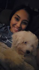 Getting over the loss of a pet and moving