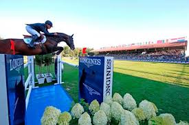 He won a silver medal in the 2008 summer olympics in the individual jumping, and also a silve. Rolf Goran Bengtsson Sensational In Phenomenal Prelude To Rio Olympics Equestrian Worldwide Pferdesport Weltweit Eqwo Net