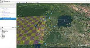 Image result for Sabicea bequaertii