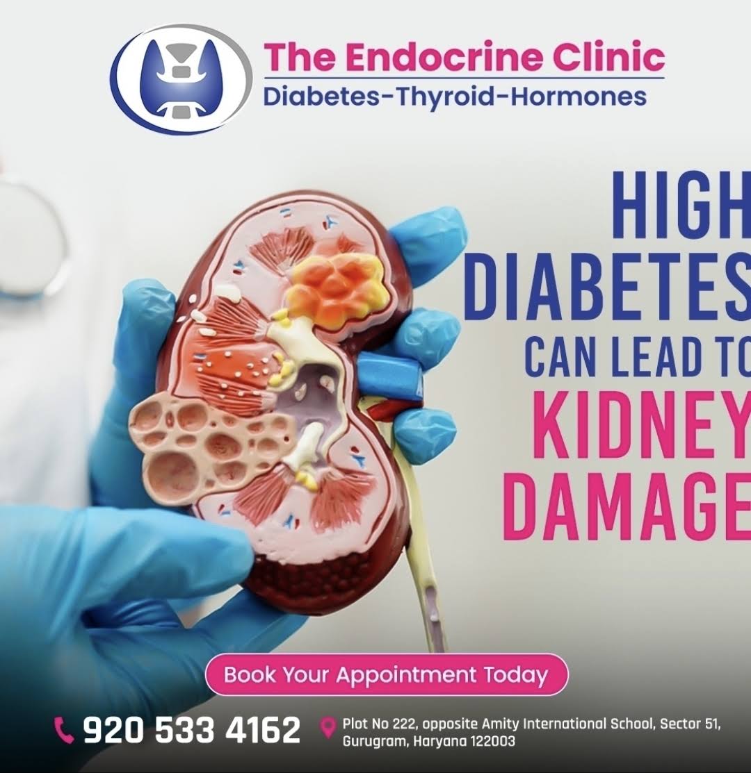 Diabetes Kidney disease product image