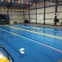Academia Natacion Aqualine Heredia Heredia