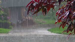 Image result for pictures of monsoon rains