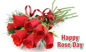 Download all rose wallpapers and use them even for commercial projects. Rose Day Wallpapers And Beautiful Images 2020