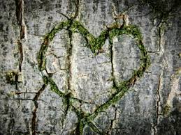 outro so cover me up and know you're enough to use me for good. Karaoke Cover Me Up Video With Lyrics Morgan Wallen