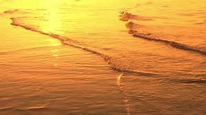 Nature Background Ocean Beach Waves Stock Footage Video 100 Royalty Free 6229751 Shutterstock We are currently filming in 4k ultra hd resolution, flying the dji mavic 2 pro. nature background ocean beach waves stock footage video 100 royalty free 6229751 shutterstock