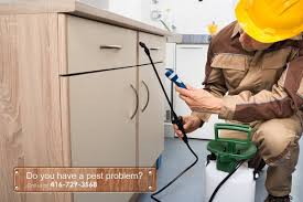 Luckily, fox pest control treats for all other types of bees. Pest Control In Bradford Vaughan Newmarket Jdm Pest Control