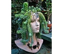 Vivian Coll (coll1021)