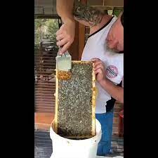 Bees Video Video Backyard Bee Honey Bees Keeping Bee Keeping