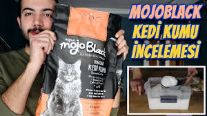 mycat aktif karbonlu kedi kumu incelemesi kedi kumu kiyaslama kedi kumu onerisi incelemesi youtube