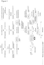 Orphazyme a/s company announcement no. Methods For Increasing Intracellular Activity Of Hsp70 Patent Grant Jensen Et Al Ja Orphazyme A S