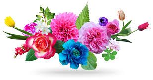 ÐÐ°ÑÑÐ¸Ð½ÐºÐ¸ Ð¿Ð¾ Ð·Ð°Ð¿ÑÐ¾ÑÑ ÐºÐ°ÑÑÐ¸Ð½ÐºÐ° ÑÐ²ÐµÑÑ