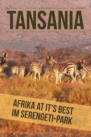 Unsere automatische telefonansage gibt ihnen die entsprechenden angaben. Tansania Safari Im Serengeti Park Reisereporter De Tansania Tansania Reisen Tiere Wild