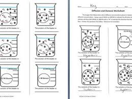Osmosis osmosis is a special case of diffusion. Osmosis And Diffusion Worksheet Osmosis Biology Worksheet Learn Biology