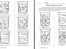 Terms in this set (21). Osmosis And Diffusion Worksheet Osmosis Biology Worksheet Learn Biology
