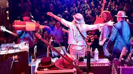 Free Fallin: The Tom Petty Concert Experience