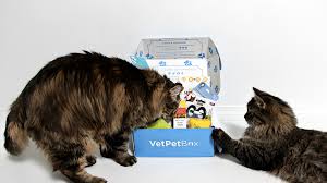 Subscribe now to receive our £3 trial box (usually £6) all our complete meals contain premium, shredded fillets and are made here in northamptonshire with no added gently cooked premium fillets. 9 Subscription Boxes You Need If You Love Cats