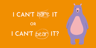 I Can T Bare It Or I Can T Bear It By Amelia Zimmerman Write To Edit Medium
